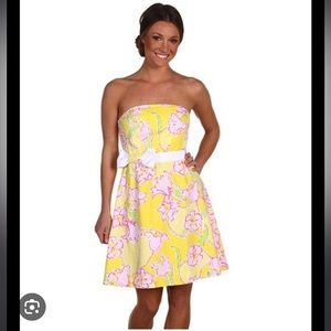 Lilly Pulitzer Amberly Dress